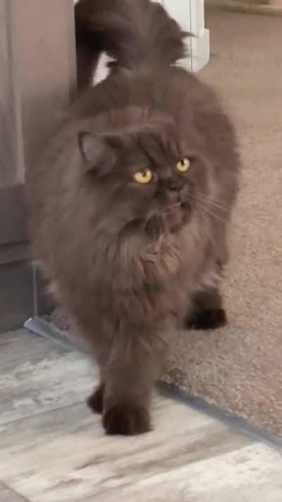 She was upset that I was sleeping in on my day off.