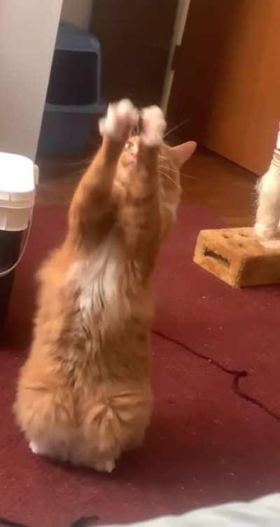 I love this guy to death, he’s such a little weirdo