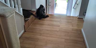 Coffee grinder activated, run away!!