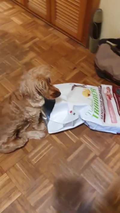 Another month, another bag, same story...