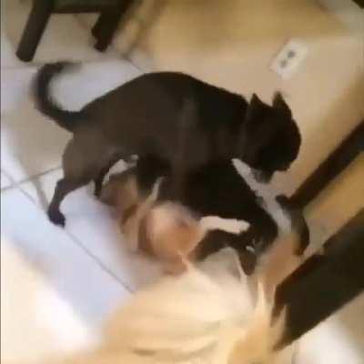 Me apandah and kind stranger😳