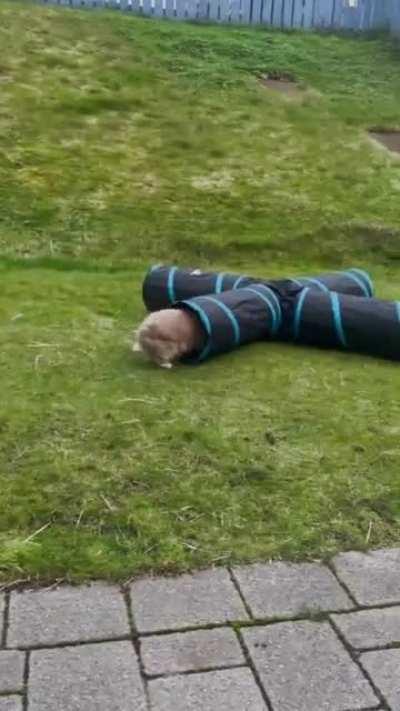 And now for their first magic trick... Abracadabra!! 🪄 🤯🤩