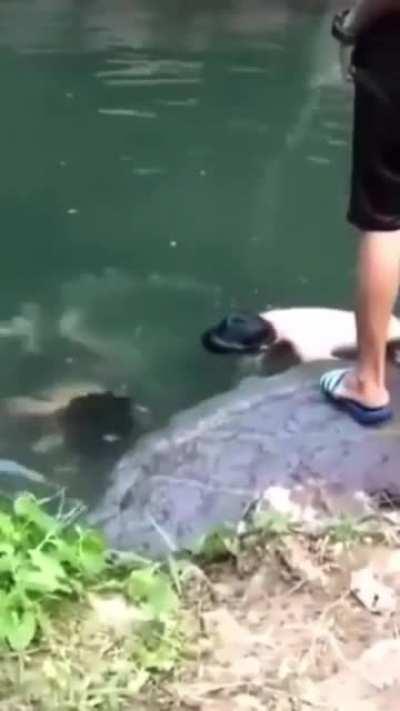 I bet he was pissed 🤣