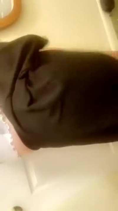 say hi if you want to play with my cock 😈💦