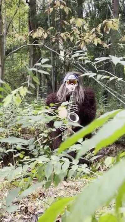 Never gonna give you up