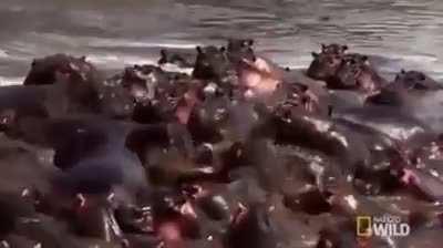 Mmmmmm Yes So Peaceful