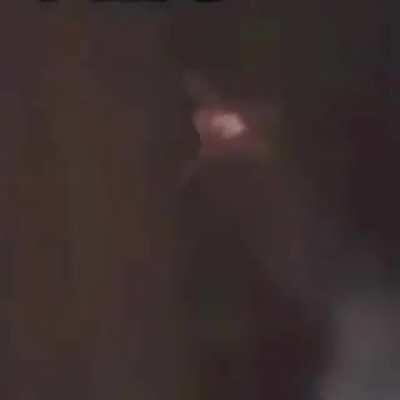 Woodszin - Video #9562