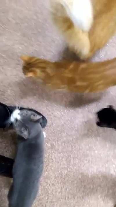 The best way to start a Day