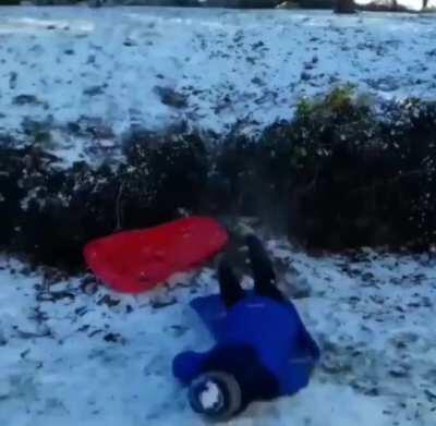 Sledging is fun