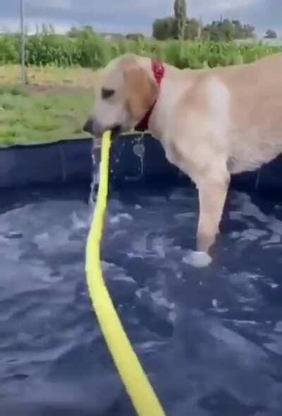 Sometimes you just gotta roll with the flow