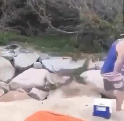 The best invention of 2025