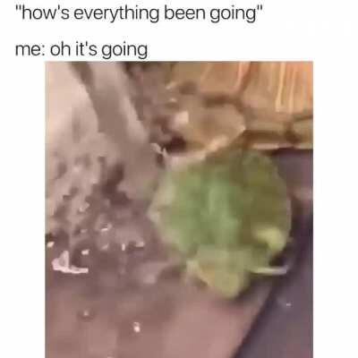 Just watching an helpless animal