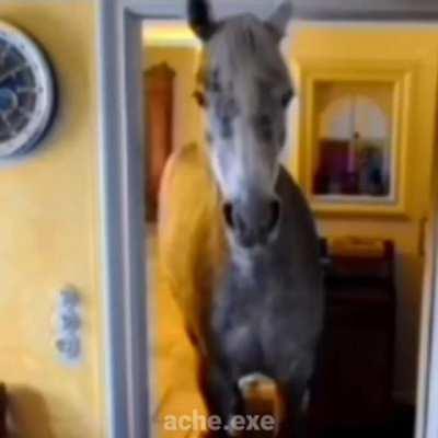 Transición culia de Power Point