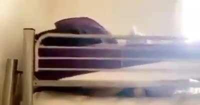 What did she think would happen?