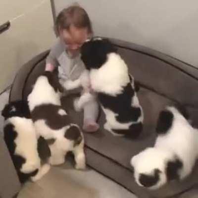 A vicious mauling (Sound on for maximum bleach)