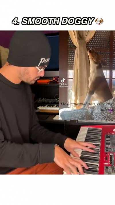 En este preciso momento un perro canta mejor a capela que un reggaetonero promedio