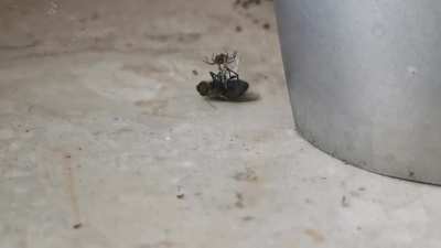 Can't believe what I just witnessed