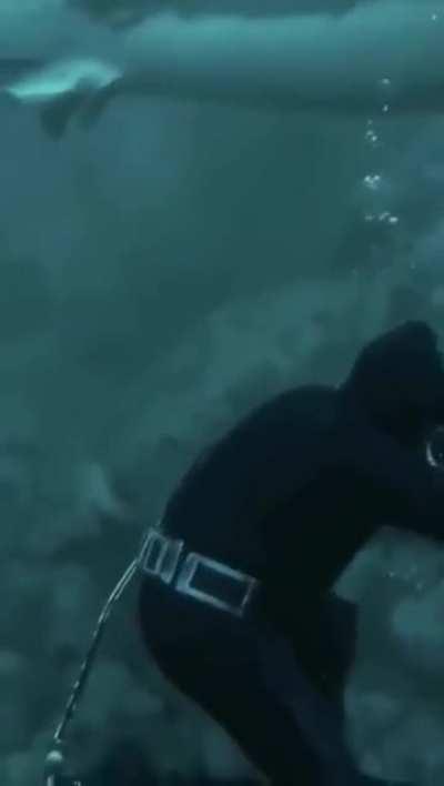 A real reason to shit yourself