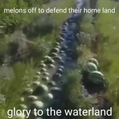 anyone know the song?