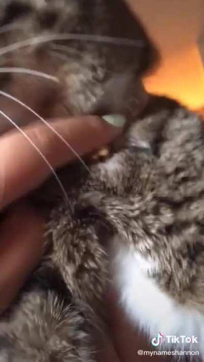 Продолжайти