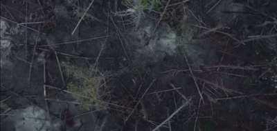 Netflix is ​​shooting a film about the Mykolayiv region. The film 