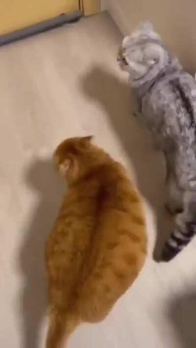 When someone falsely accuses wubby of sexual misconduct on twitter