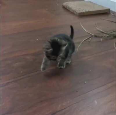 The new intern just quit