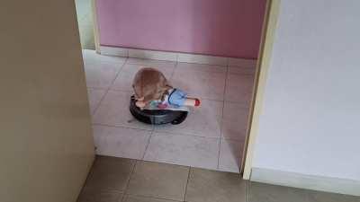 Zensoku Zenshin You-oh wait,what!?