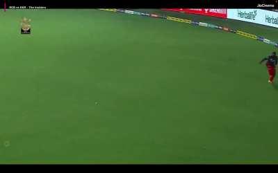 Koach in awe of Kingku