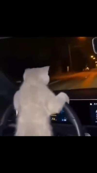 This funky music, Mario kart-ish, song sounds familiar, too bad the extract is too short