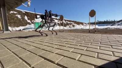 Te parecían tiernos los robots de Boston Dynamics bailando? Mira lo que se viene....