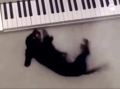 Johann Sebastian Bark