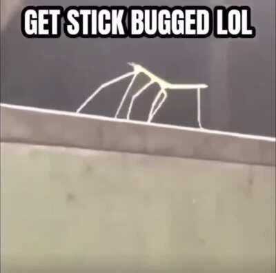 There’s an Easter egg with the game cube that 1% when launching can give you this...