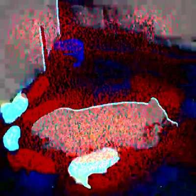 When the deliriant psychosis finally kicks in