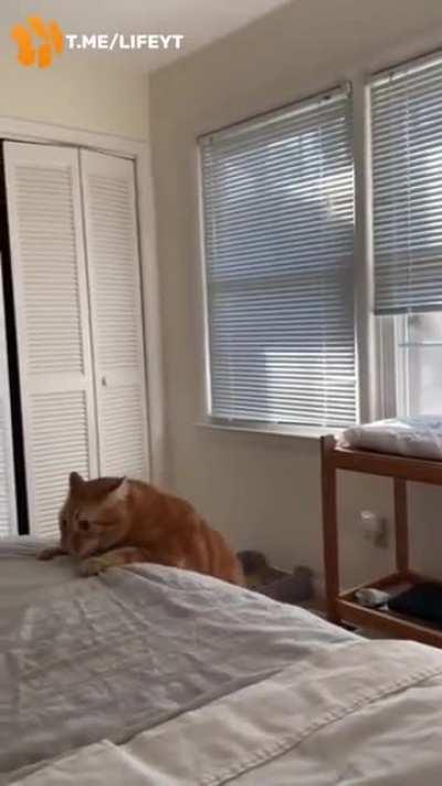 Awww he's so cute and big ❤🤩