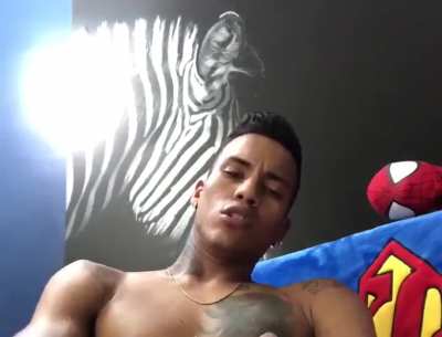 milk from this organ is always organic