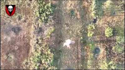 Ukraine's 72nd Mechanized Brigade 'the Black Zaporozhians' destroy Russian vehicles and infantry with artillery, FPV drones and drone-dropped grenades in Russia's renewed attempt on Vuhledar