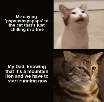 How fast can you run, son?