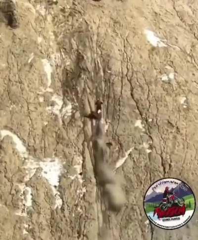 the lil engine that couldn't