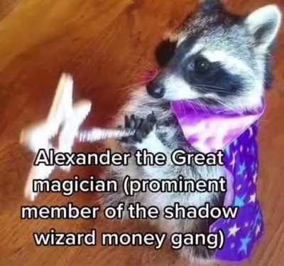 I gotta pick either Alexander or Harold