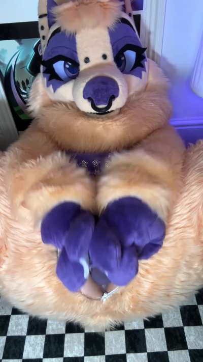 stallions just do it better ;)