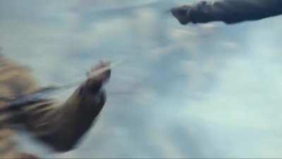 WWII Edit I made which took me almost a week Lol