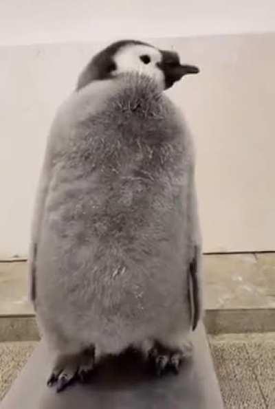 I didn’t think they were this big