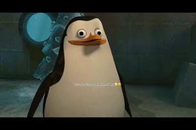 Penguins Of Madagascar