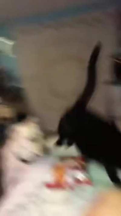 Когда пол - это лава