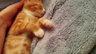 neCroPhILiAC BrUtAlLy dEFiLeS A DeAd bODY