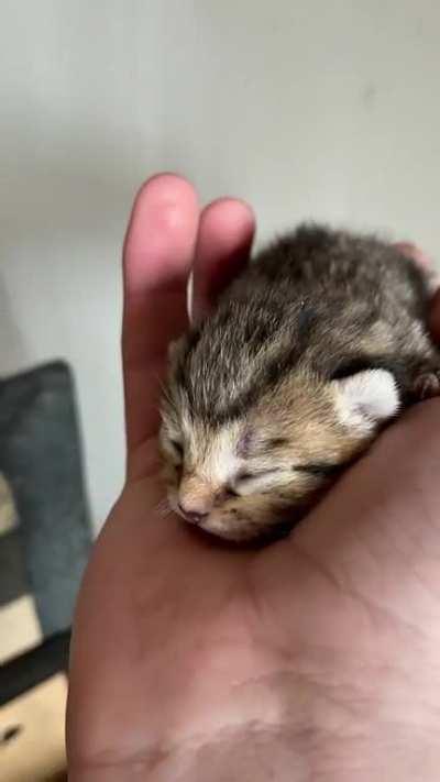 The suspect is held in custody.