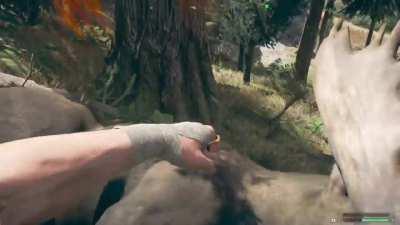 How we hunt here in hope county!