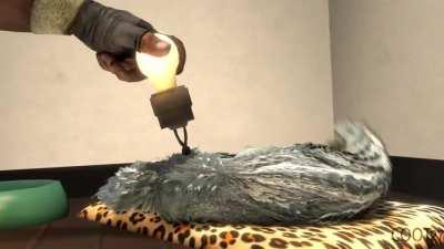 A real light bulb moment