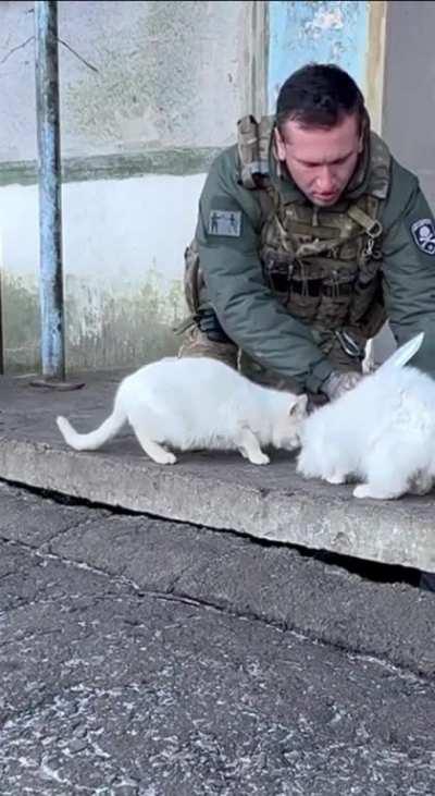 🥰 Our boys also manage to take care of the four-legged ones. We are not lazy, but quickly put morning ❤️ on cats.